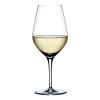 Verre à vin blanc AUTHENTIS, set de 4 pièces, 420 ml, Spiegelau