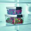 boîte de conservation pour aliments sous vide, set de 2 pièces, ZU3618, Severin