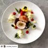 Gros assiette peu profonde Bisque Convergent 29 cm MIJ