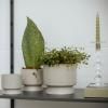 Pot de fleur RECYCLED 15 cm, sable, Rosendahl