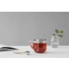 Théière avec infuseur à thé BJORN 650 ml, verre, Viva Scandinavia