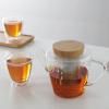 Théière INFUSION 1 l, clair, verre, Viva Scandinavia