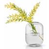 Vase ACORN 16,5 cm, verre transparent, Eva Solo