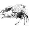 Figurine WUNDERKAMMER HOLY CRAB 32 cm, argent, aluminium, Seletti