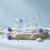 199269 sklenice na vodu glass from sonny 10 cm seletti