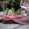 Verre à eau CABERNET, set de 6 pc, 250 ml, Holmegaard