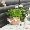 Verres à martini PERFECTION, set de 6 pc, 290 ml, transparent, Holmegaard