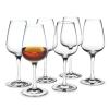 Verre à liqueur BOUQUET, set de 6 pc, 120 ml, transparent, Holmegaard