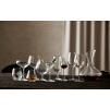 Coupe à champagne JUVEL, set de 4 pc, 340 ml, Lyngby Glas