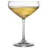 Coupe à champagne JUVEL, set de 4 pc, 340 ml, Lyngby Glas