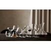 Verre à bière JUVEL, set de 4 pc, 490 ml, Lyngby Glas
