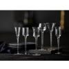 Verre à shot ROMA, set de 6 pc, Lyngby Glas