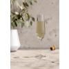 Flûte à champagne LEGIO NOVA , set de 6 pc, 260 ml, Eva Solo