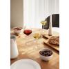 Verre à vin blanc LEGIO NOVA , set de 6 pc, 380 ml, Eva Solo