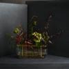 Vase IKEBANA 33 cm, or, verre, Fritz Hansen