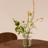 Vase IKEBANA 13 cm, argent, verre, Fritz Hansen