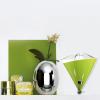 Presse-agrumes électrique VITA 0,6 l, vert pomme, acier inoxydable, Bugatti