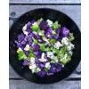 Mélanges d'épices biologiques CABBAGE KARMA 50 g, Mill & Mortar