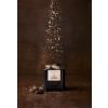 Fèves tonka bio 20 g, entières, Mill & Mortar