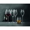 Verres à champagne ARABESQUE, set de 2, 300 ml, transparents, Spiegelau