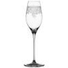 Verres à champagne ARABESQUE, set de 2, 300 ml, transparents, Spiegelau
