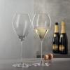Verres à champagne SPECIAL SPUMANTE, set de 2, 500 ml, transparents, Spiegelau
