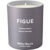 Bougie parfumée FIGUE 220 g, Miller Harris