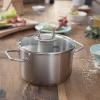 Pot O 20 cm viseo® Fissler