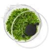 Essoreuse à salade GOOD GRIPS 4,7 l, bílá, plast, OXO