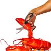 Ciseaux à fruits de mer GOOD GRIPS 19 cm, noir, plastique, OXO