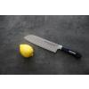 Couteaux de cuisine ACTIVECUT avec support, set de 4, noir, acier inoxydable, F.DICK