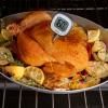 Thermomètre de barbecue GOOD GRIPS 25 cm, noir, plastique, OXO