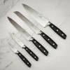 Bloc à couteau SEATTLE, avec les couteaux JANUS, set de 6, Lion Sabatier