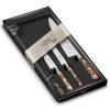 Set de couteaux PROVENÇAO PRÉPARER, 3 pc, rivets en acier inoxydable, Lion Sabatier