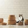Gamelle pour chat PETWARE CANE 13 cm, cannelle, grès, Mason Cash