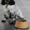 Gamelle pour chien NON TIP 21 cm, cannelle, grès, Mason Cash