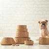 Gamelle pour chien NON TIP 21 cm, cannelle, grès, Mason Cash