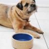 Gamelle pour chien PETWARE CANE 18 cm, cannelle/bleu, grès, Mason Cash