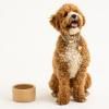 Gamelle pour chien PETWARE CANE 15 cm, cannelle, grès, Mason Cash
