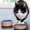 Gamelle pour chat PETWARE CANE 13 cm, cannelle/bleu, grès, Mason Cash