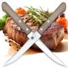 210424 1 steakovy nuz easy 10 cm hneda dellinger