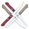 210424 2 steakovy nuz easy 10 cm hneda dellinger