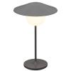 Lampe de table sans fil ANI MINI 21 cm, LED, gris chaud, aluminium, Blomus