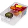 Bac pour frigo FRIDGESTORE 851663 31 cm, transparent, plastique, Joseph Joseph