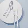 Fourchette CHACO 20 cm, set de 6 pc, argent, acier inoxidable, Stelton