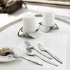 Cuillère de table AZTEC 19 cm, set de 6 pc, argent, acier inoxidable, Stelton
