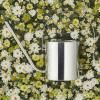 Arrosoir ORIGINAL 1,7 l, argent, acier inoxydable, Stelton