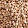 212544 4 pic list 5 mm12257 5710175122579 millmortar