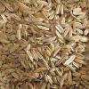 212520 2 bio fenykl 40 g semena mill mortar