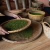 Poivre vert bio MALABAR 25 g, entier, Mill & Mortar